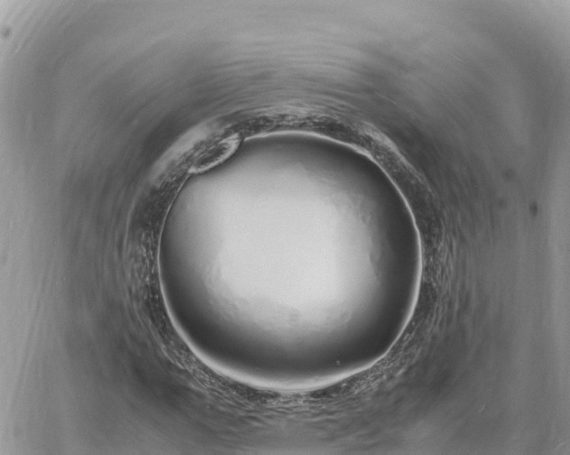 X0000060750967200511171118