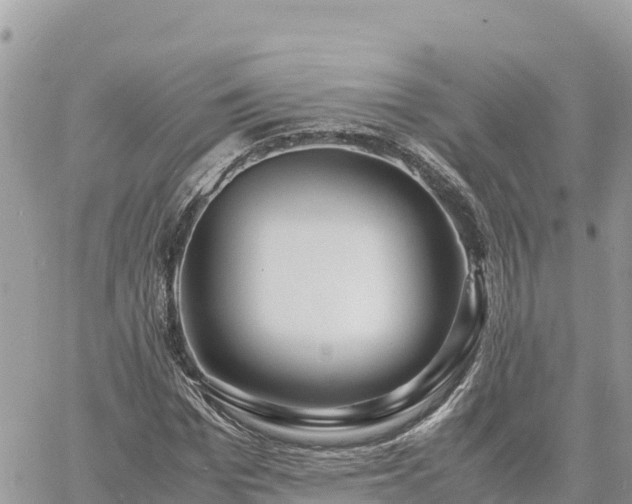 X0000060750969200511171118