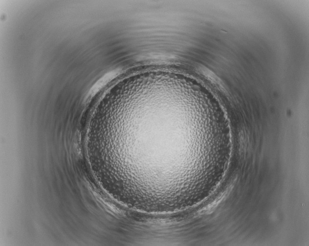 X0000060750970200511171118