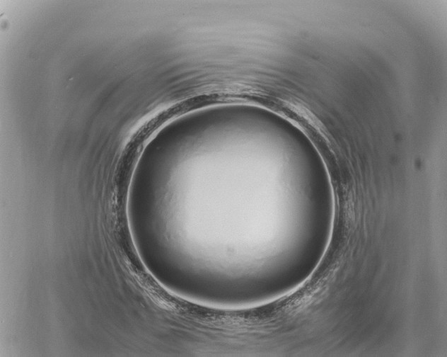 X0000060750971200511171118