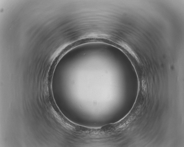 X0000060750972200511171118