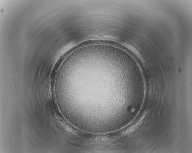 X0000060750974200511171118