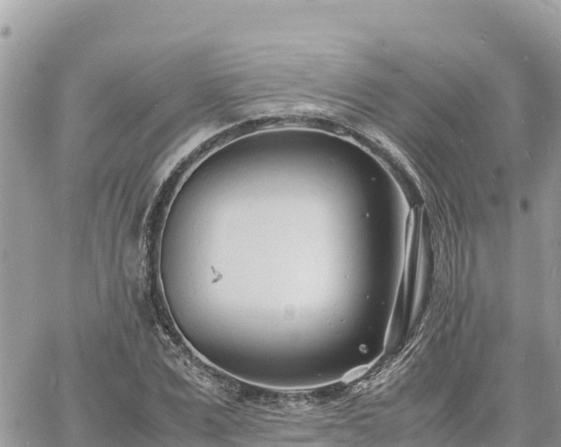 X0000060750975200511171118