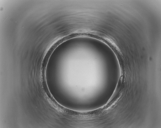 X0000060750976200511171118