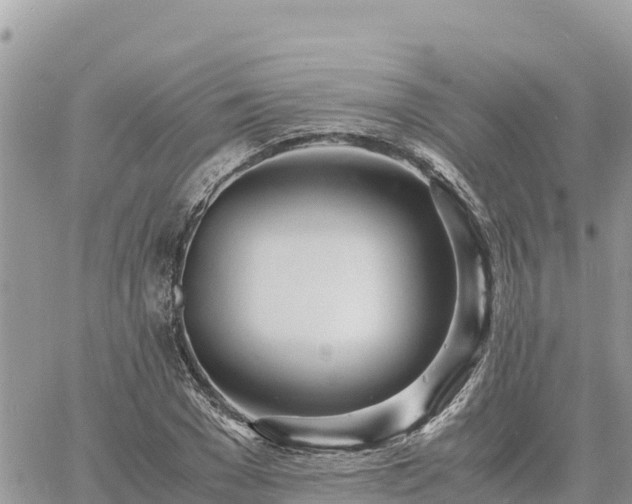 X0000060750977200511171118