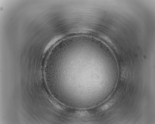 X0000060750978200511171118