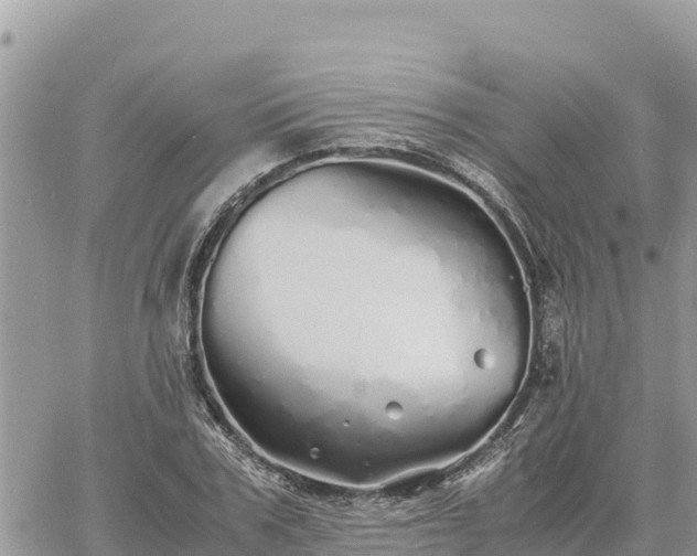 X0000060750979200511171118