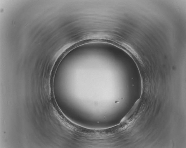 X0000060750980200511171118