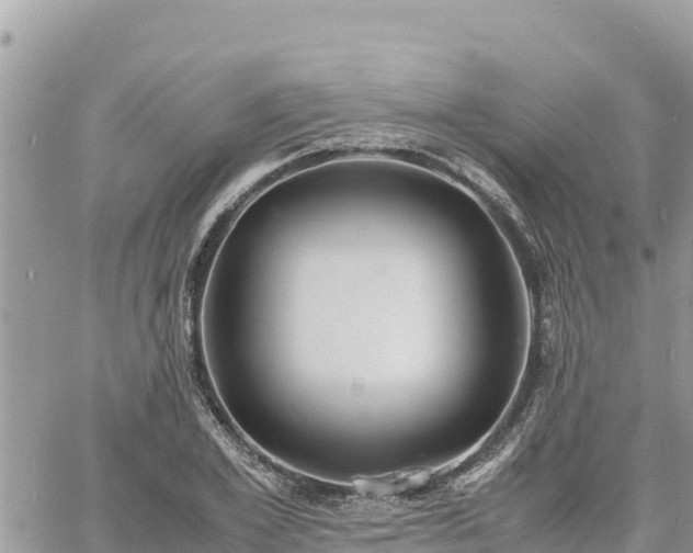 X0000060750981200511171118