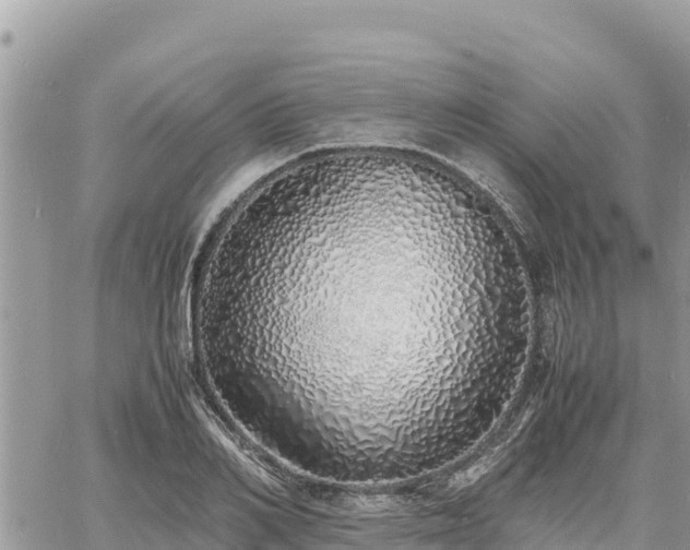 X0000060750982200511171118