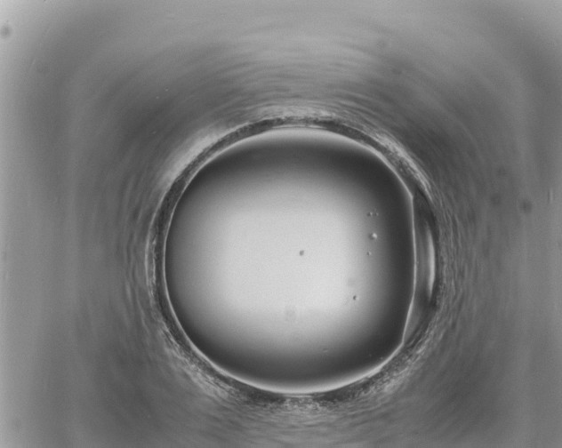 X0000060750983200511171118