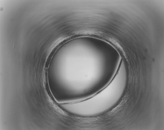 X0000060750984200511171118