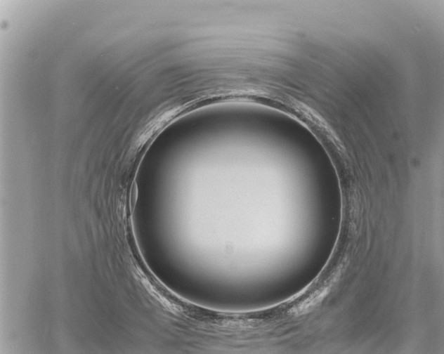 X0000060750985200511171118