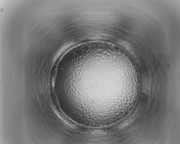 X0000060750986200511171118