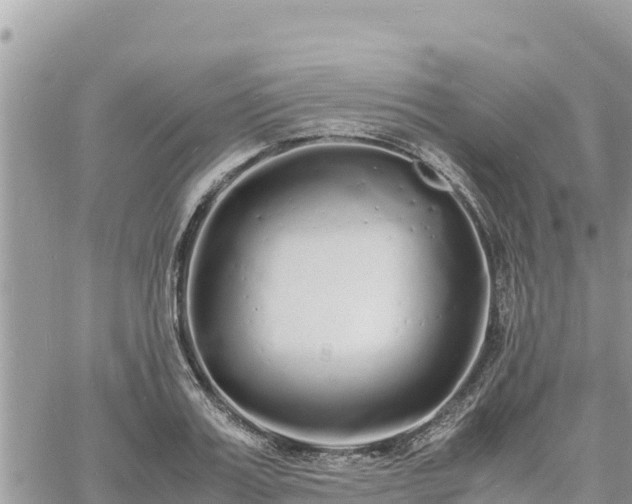 X0000060750987200511171118