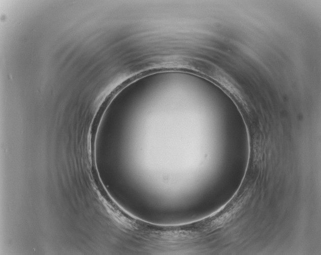 X0000060750988200511171118