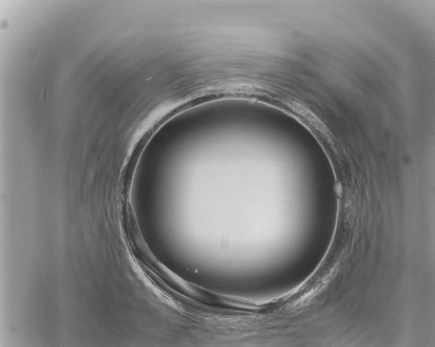 X0000060750989200511171118