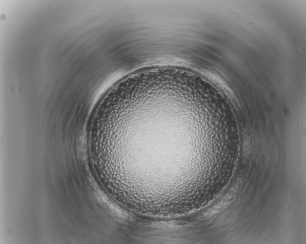 X0000060750990200511171118