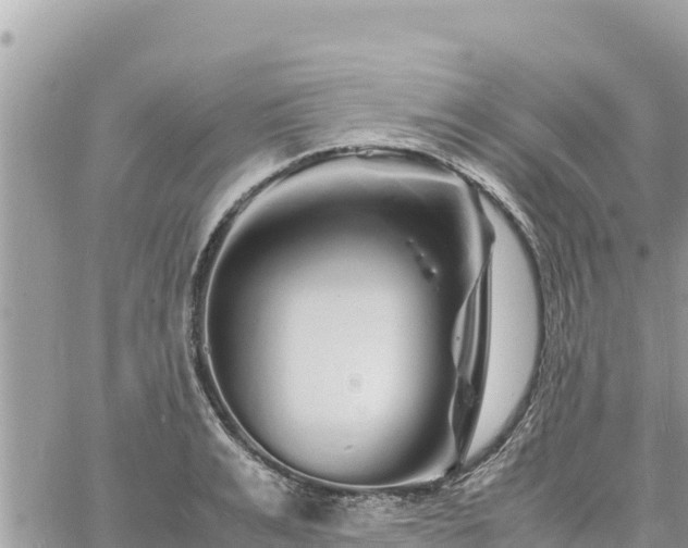 X0000060750991200511171118