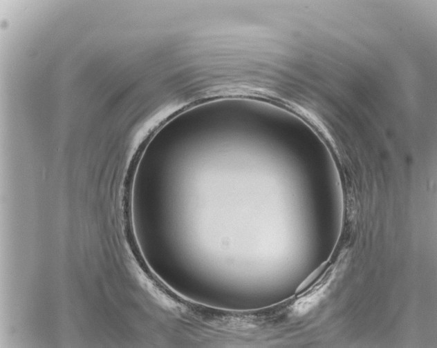 X0000060750995200511171118