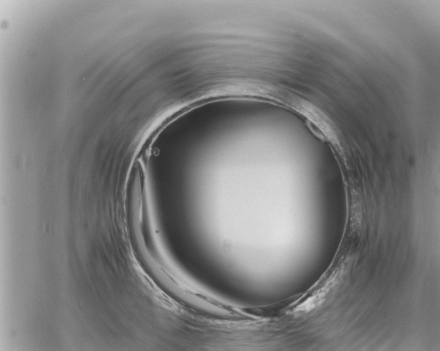 X0000060750996200511171118