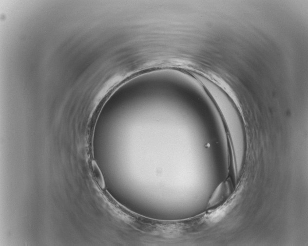 X0000060750997200511171118