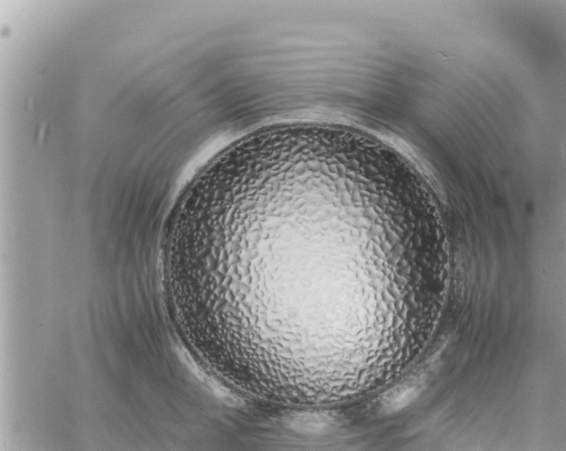 X0000060750998200511171118