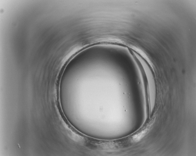 X0000060750999200511171118