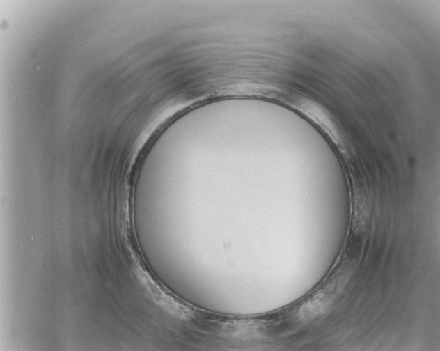 X0000060751000200511171118