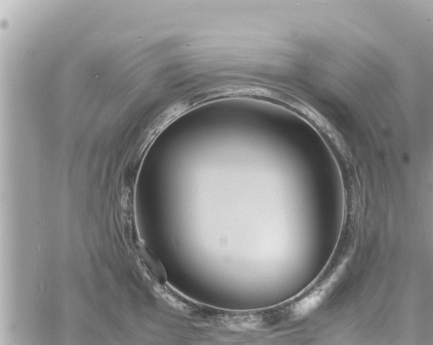 X0000060751001200511171118