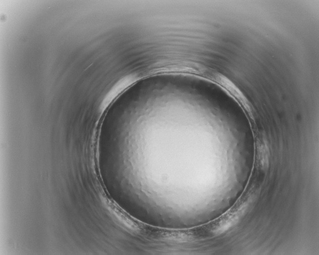 X0000060751002200511171118