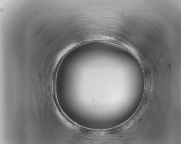 X0000060751003200511171118