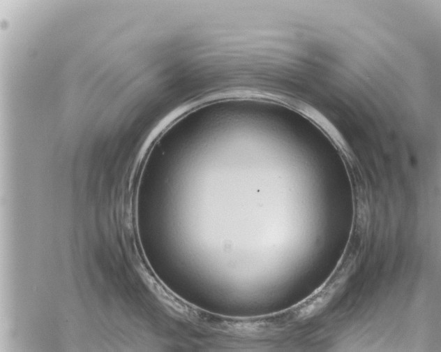 X0000060751004200511171118