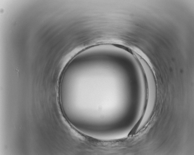 X0000060751005200511171118