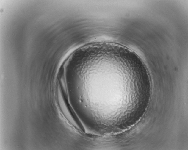 X0000060751008200511171118