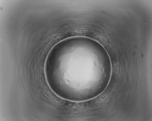 X0000060751009200511171117