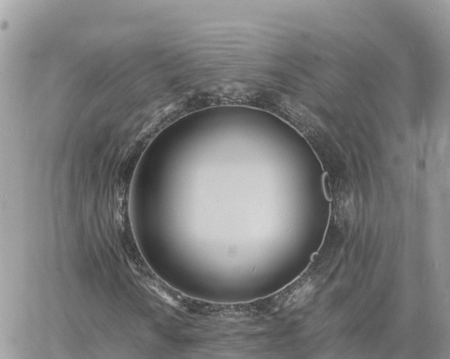 X0000060751010200511171117