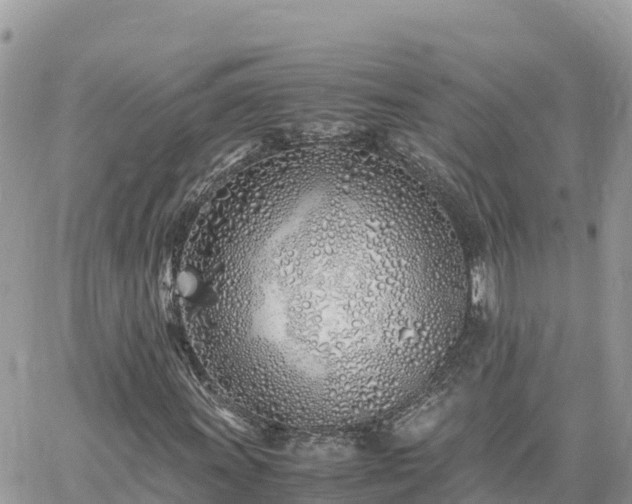 X0000060751011200511171117