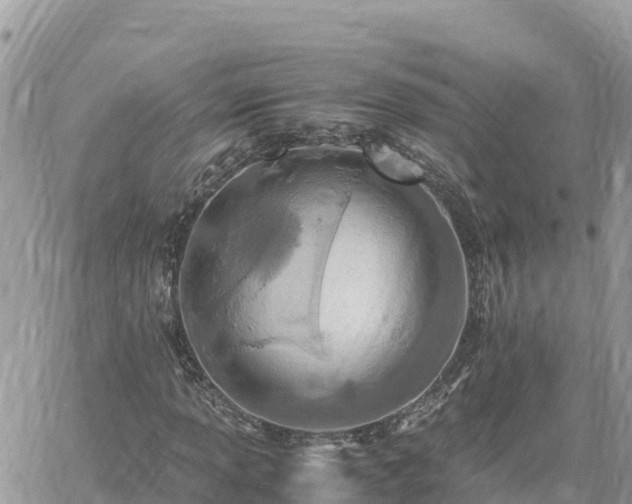 X0000060751013200511171117