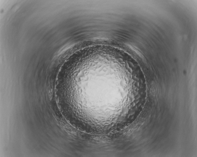 X0000060751015200511171117