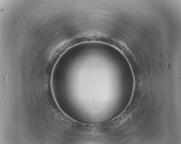 X0000060751016200511171117