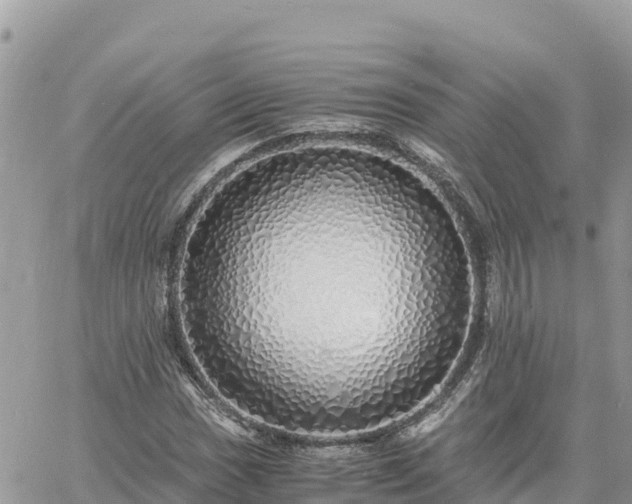 X0000060751017200511171117