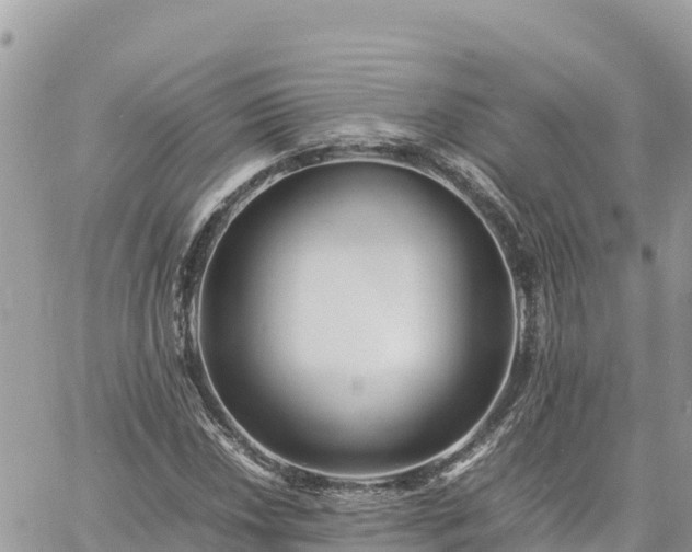 X0000060751018200511171117