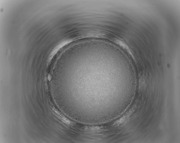 X0000060751019200511171117