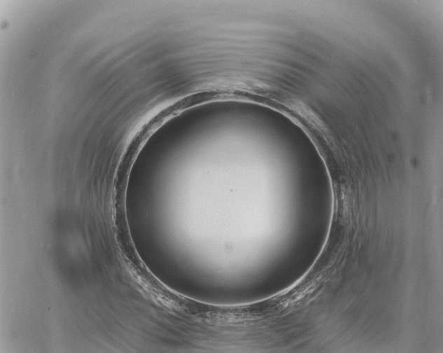 X0000060751020200511171117