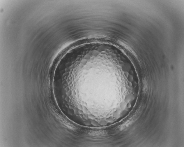 X0000060751021200511171117