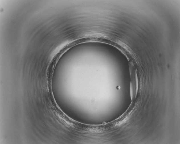 X0000060751022200511171117