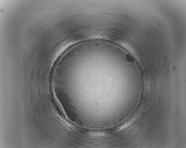 X0000060751023200511171117