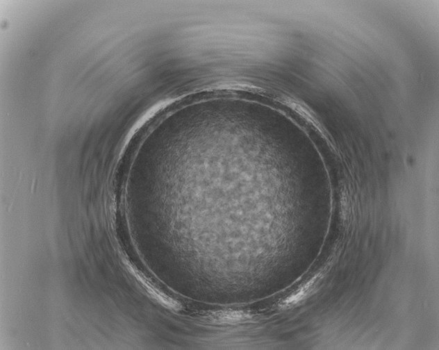 X0000060751024200511171117