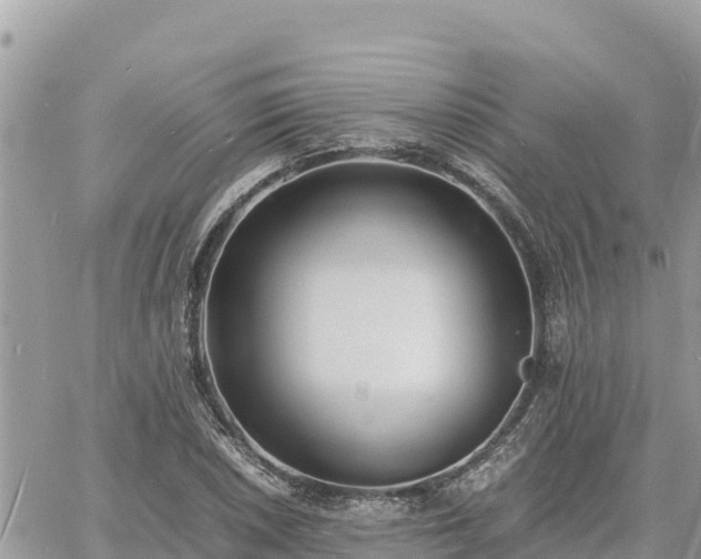 X0000060751026200511171117